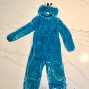 Cookie Monster costume